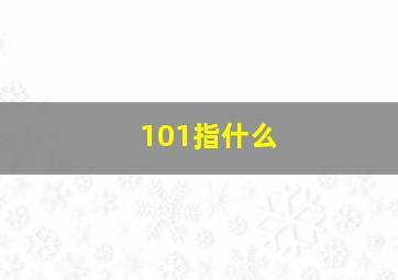 101指什么