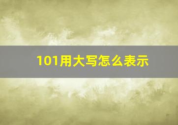 101用大写怎么表示