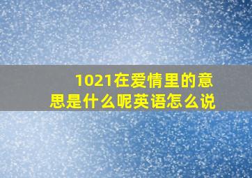 1021在爱情里的意思是什么呢英语怎么说