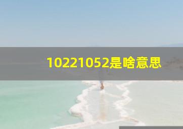 10221052是啥意思