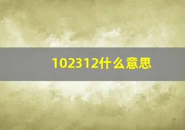 102312什么意思