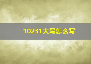 10231大写怎么写