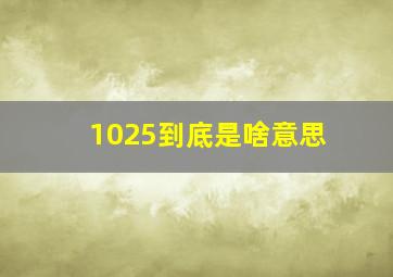 1025到底是啥意思