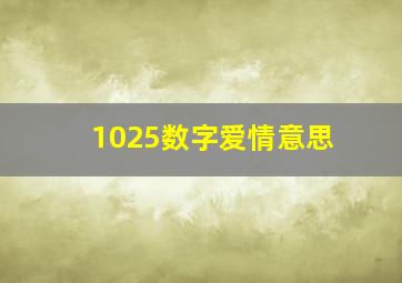 1025数字爱情意思