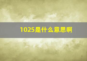 1025是什么意思啊