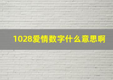 1028爱情数字什么意思啊