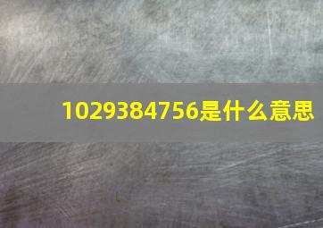 1029384756是什么意思