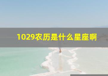 1029农历是什么星座啊