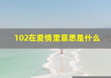 102在爱情里意思是什么