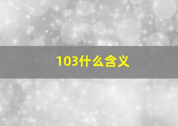 103什么含义