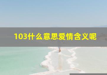 103什么意思爱情含义呢