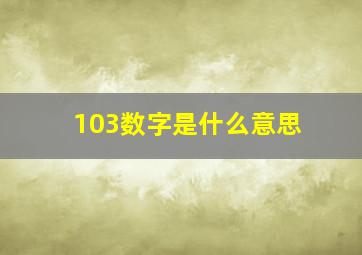 103数字是什么意思