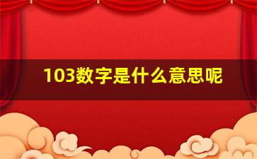 103数字是什么意思呢