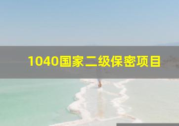 1040国家二级保密项目