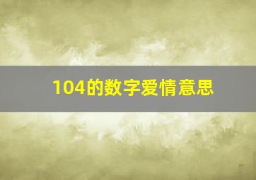 104的数字爱情意思