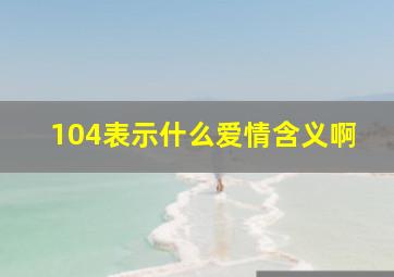 104表示什么爱情含义啊