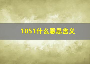 1051什么意思含义