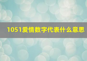 1051爱情数字代表什么意思