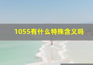 1055有什么特殊含义吗