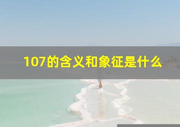 107的含义和象征是什么