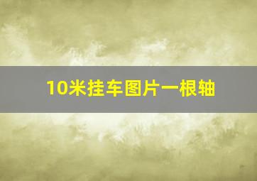 10米挂车图片一根轴