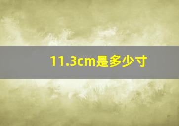 11.3cm是多少寸