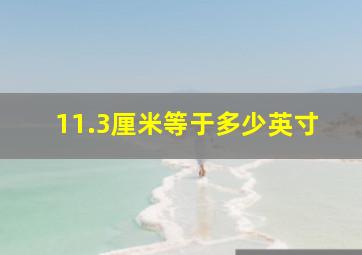 11.3厘米等于多少英寸