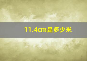 11.4cm是多少米