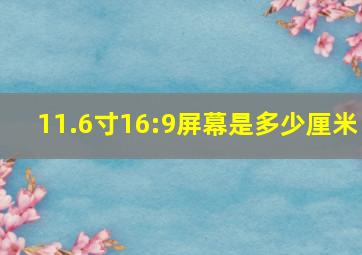 11.6寸16:9屏幕是多少厘米