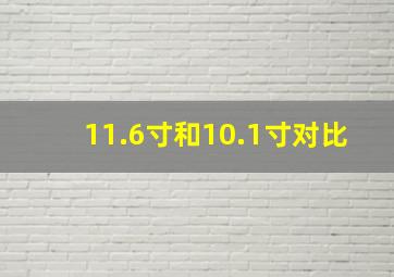 11.6寸和10.1寸对比