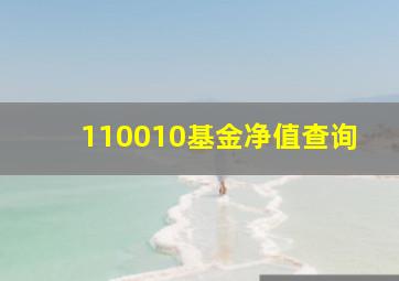 110010基金净值查询