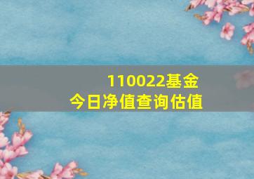 110022基金今日净值查询估值