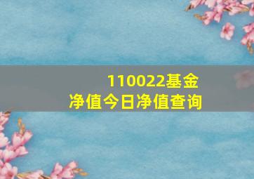 110022基金净值今日净值查询