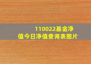 110022基金净值今日净值查询表图片