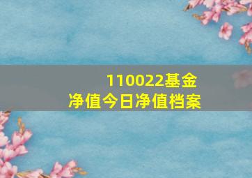 110022基金净值今日净值档案