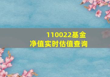 110022基金净值实时估值查询