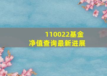 110022基金净值查询最新进展