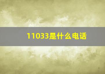 11033是什么电话