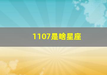 1107是啥星座