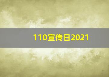 110宣传日2021