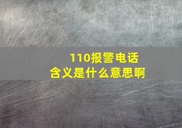 110报警电话含义是什么意思啊