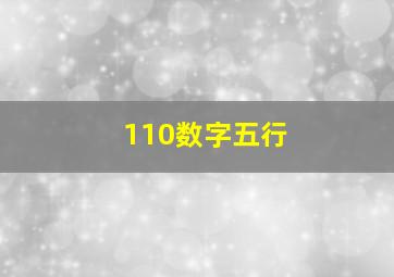 110数字五行