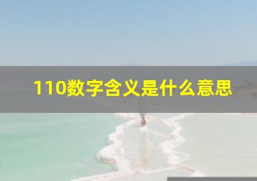 110数字含义是什么意思