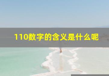 110数字的含义是什么呢