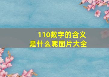 110数字的含义是什么呢图片大全