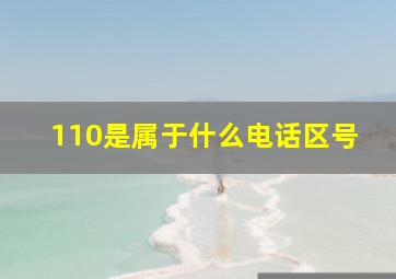 110是属于什么电话区号