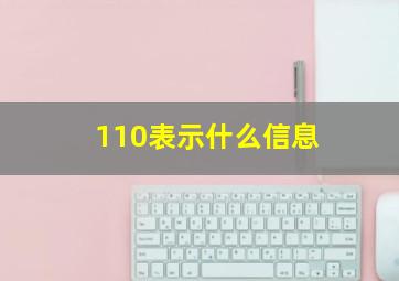 110表示什么信息