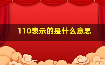 110表示的是什么意思