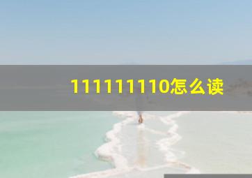 111111110怎么读