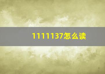 1111137怎么读